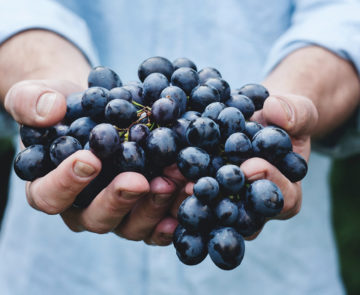 Formations métiers de bouche et d'accueil Formation Sommellerie Maîtriser l'essentiel du vin K/WI Formation