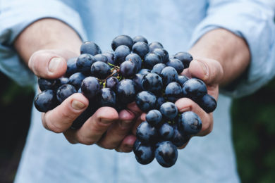 Formations métiers de bouche et d'accueil Formation Sommellerie Maîtriser l'essentiel du vin K/WI Formation